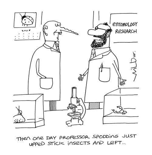 'Then one day Professor Spodding Just upped stick insects and left.'