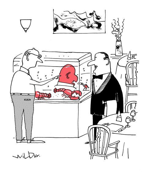 Man chooses his lobster.