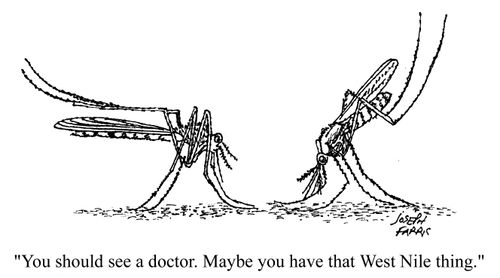 'You should see a doctor. Maybe you have that West Nile thing.'