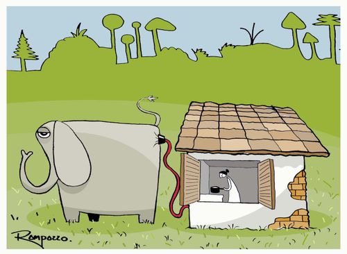 Natural gas.