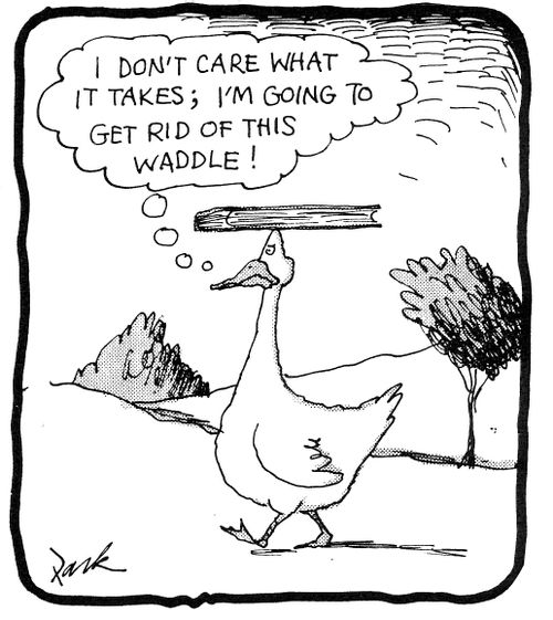 'I don't care what it takes, I'm going to get rid of this waddle!'