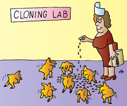 Cloning lab