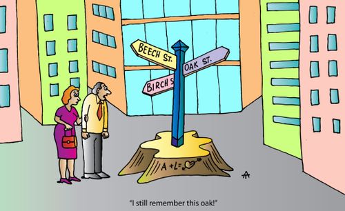 Oak street: 'I still remember this oak.'