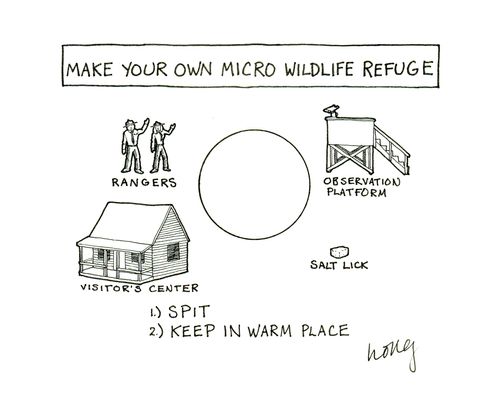 Make Your Own Micro Wildlife Refuge