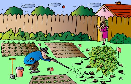 Gardening Solutions