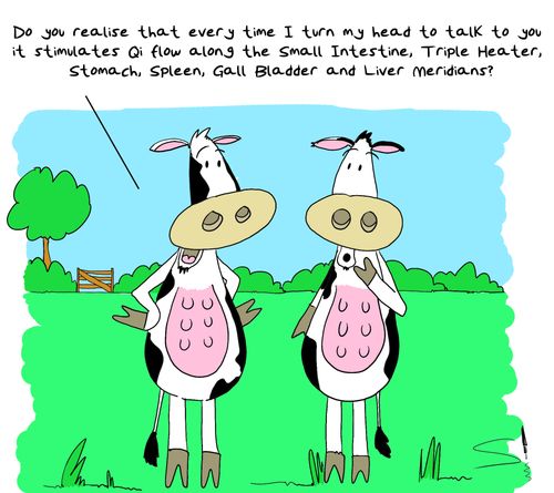 'Do you realise that every time I turn my head to talk to you it stimulates Qi flow along the small intestine, triple heater, stomach, spleen, gall bladder and liver meridians?'