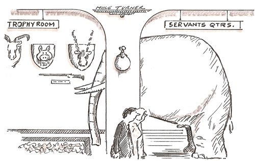 Elephant in the Room