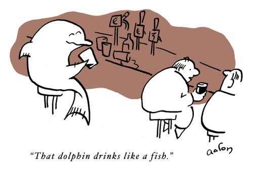 That dolphin drinks like a fish.