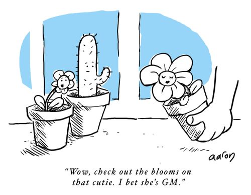 'Wow, check out the blooms on that cutie. I bet she's GM.'