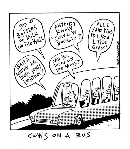 Cows on a bus.