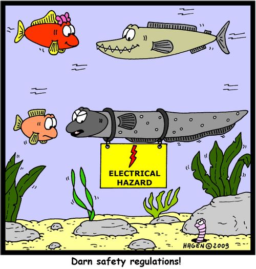'Darn safety regulations!'