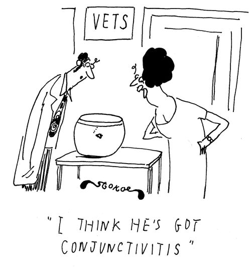 'I think he's got conjunctivitis'