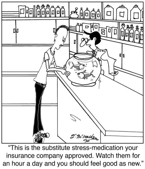 'This is the substitute stress-medication your insurance company approved. Just watch them for a couple hours a day, and you should feel good as new.'