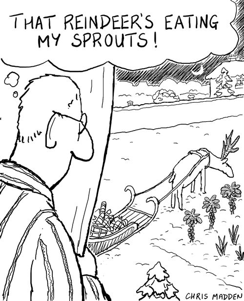 'That reindeer's eating my sprouts!'