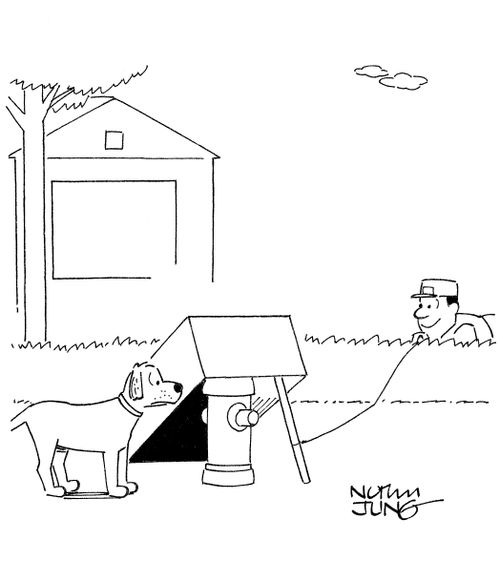 Dog catcher sets trap at fire hydrant to catch stray dog.