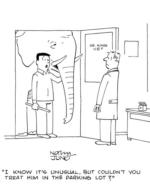'I know it's unusual, but couldn't you treat him in the parking lot?'