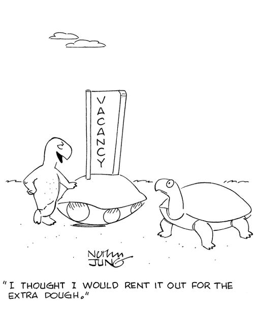 'I thought I would rent it out for the extra dough.'