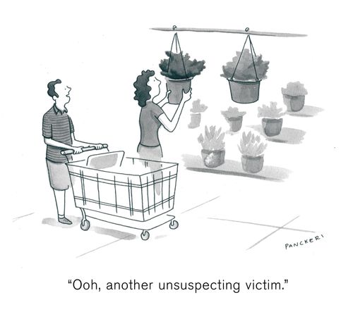 "Ooh, another unsuspecting victim."