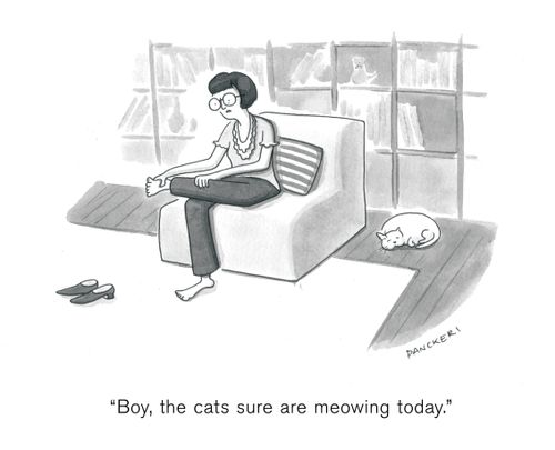 "Boy, the cats sure are meowing today."