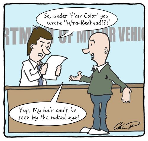 "So, under 'Hair Color' you wrote 'Infra-Redhead!?!"