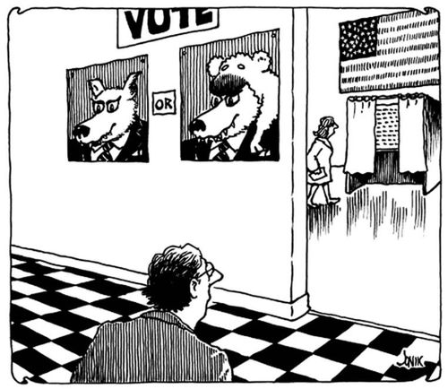 Voting for Wolves or Wolves in Sheep's Clothing