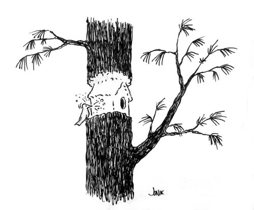 Woodpecker House
