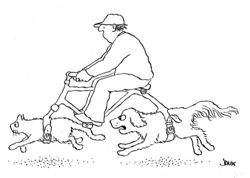 Cat and Dog Bike