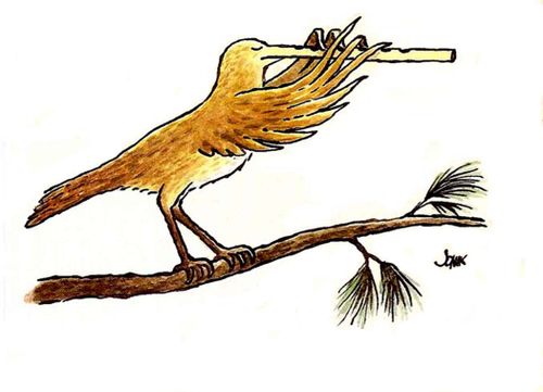 Bird Beak Flute