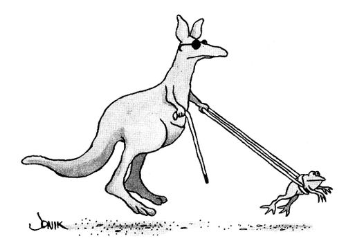 Blind Kangaroo