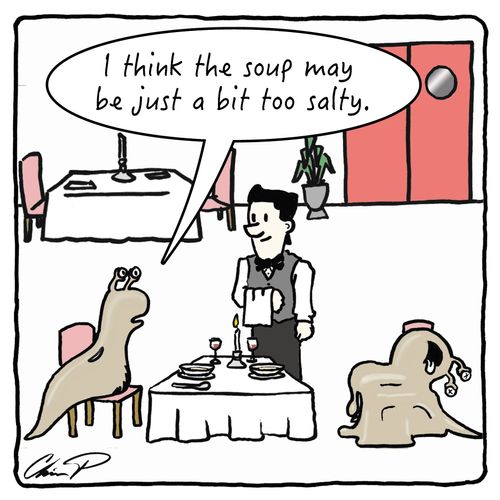 "I think the soup may be just a bit too salty."