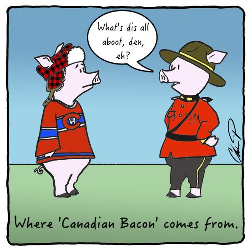 Where 'Canadian Bacon' comes from.