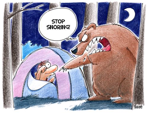Bear tells man to stop snoring