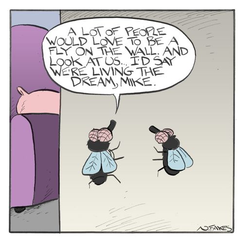 Fly On The Wall