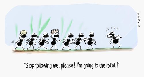 "Stop following me, please! I'm going to the toilet!"
