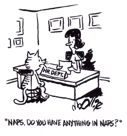"Naps. Do you have anything in naps?"