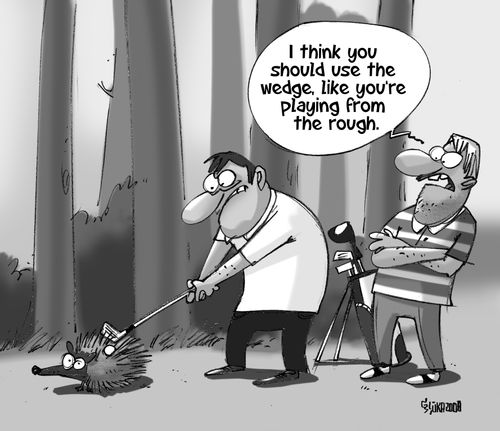 "I think you should use the wedge, like you're playing from the rough."