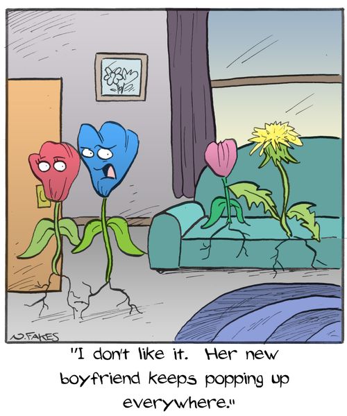 "I don't like it. Her new boyfriend keeps popping up everywhere."