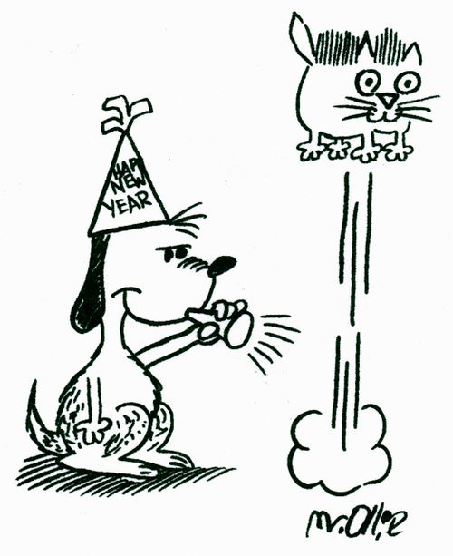Dog blowing horn and spooks cat for New Year's.