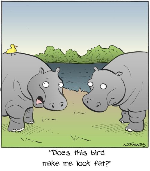 "Does this bird make me look fat?"