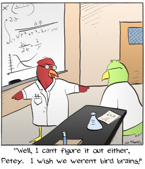"Well, I can't figure it out either, Petey.  I wish we weren't bird brains!"