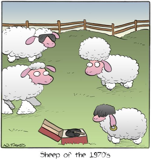 Sheep of the 1970's