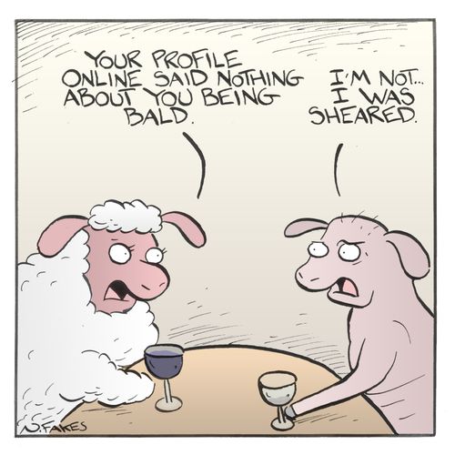 "Your profile online said nothing about being bald."
