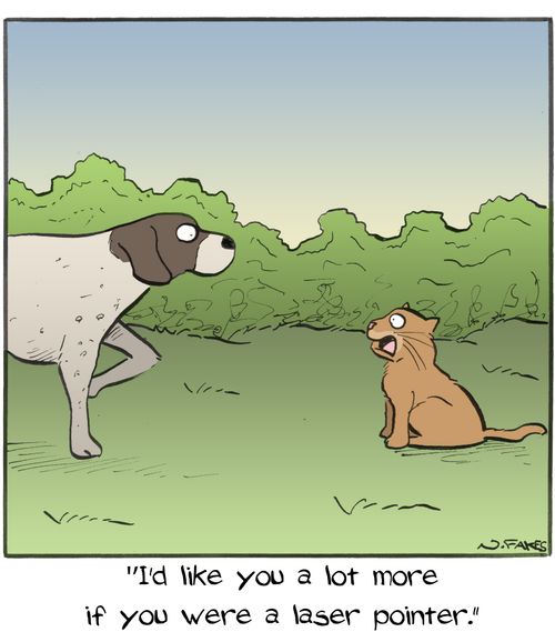"I'd like you a lot more if you were a laser pointer."