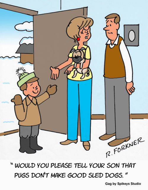 "Would you please tell your son that pugs don't make good sled dogs."