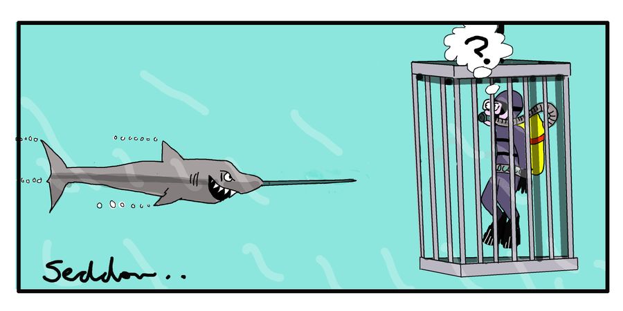 Shark cage offers no protection from a swordfish.