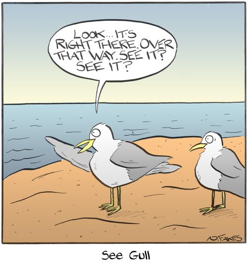 See Gull.
