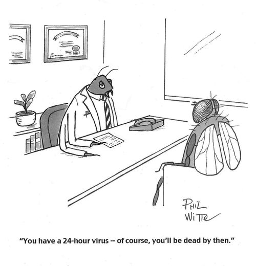 "You have a 24-hour virus - of course, you'll be dead by then."