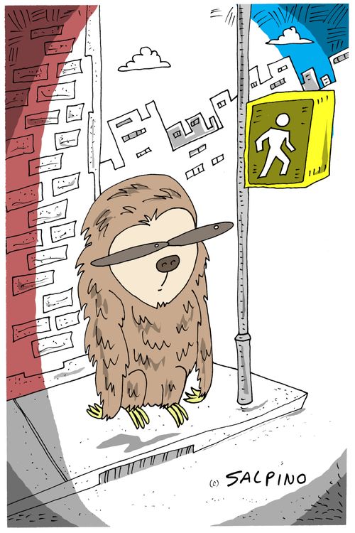 Sloth Crossing
