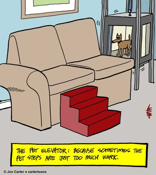 The pet elevator: Because sometimes the pet steps are just too much work.