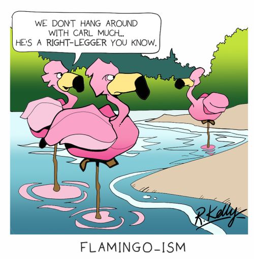Flamingo-ism